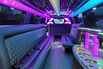 Great Falls Limo Interior